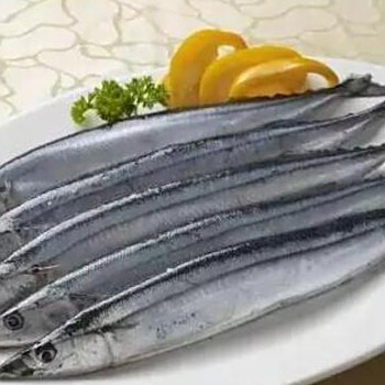 刀魚學名叫什么魚