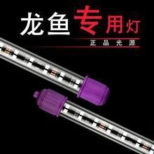 紅龍照明的價格范圍是多少？