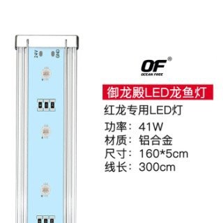 紅龍照明的價格范圍是多少？