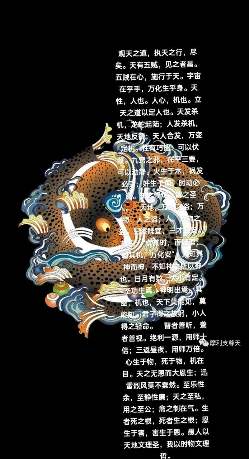 道之三龍圖片 道之三龍圖片 龍魚論壇 第16張