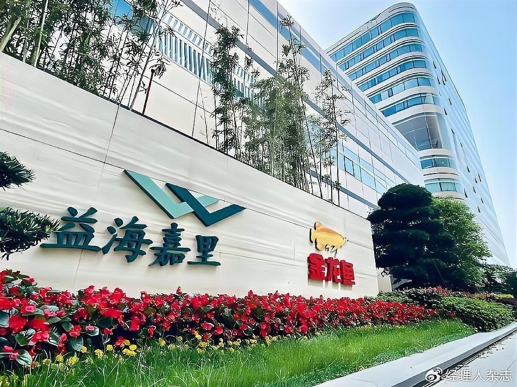 林園對金龍魚的投資有哪些具體策略？