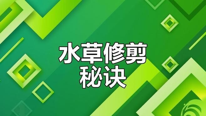 龍魚缸水草多久需要修剪？