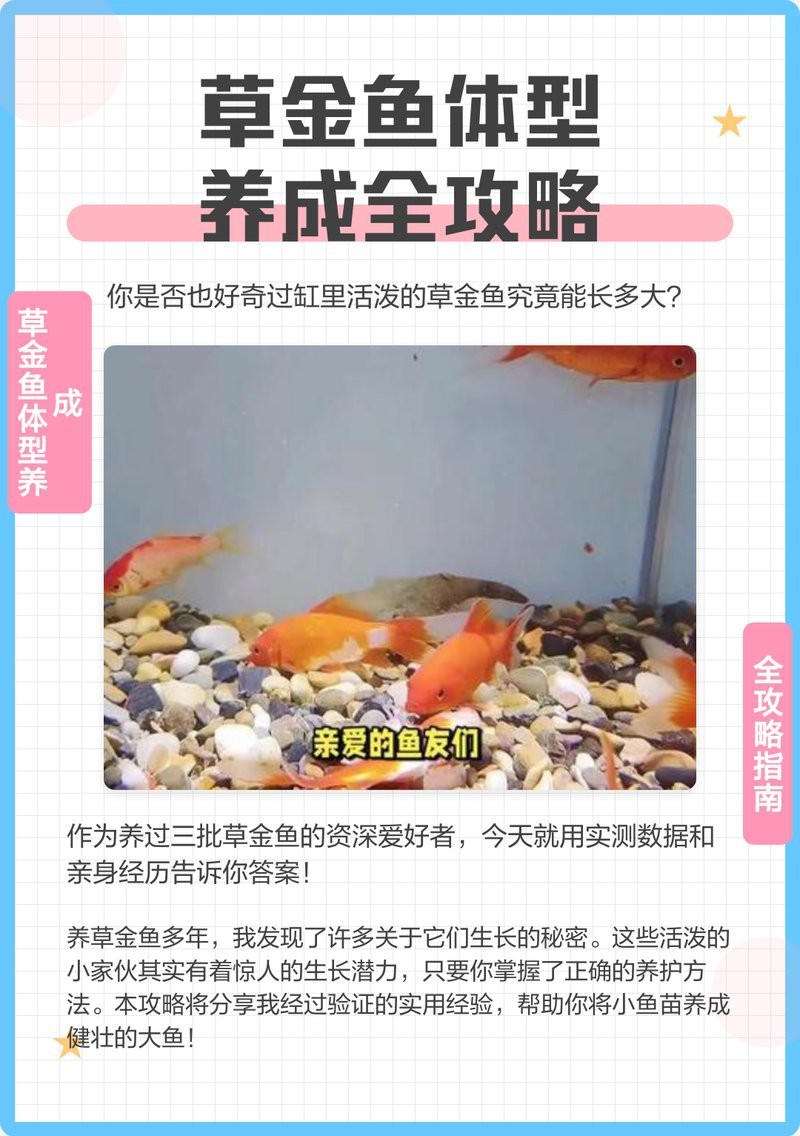 草金魚一個月能長幾厘米 草金魚一個月能長幾厘米 龍魚論壇 第1張