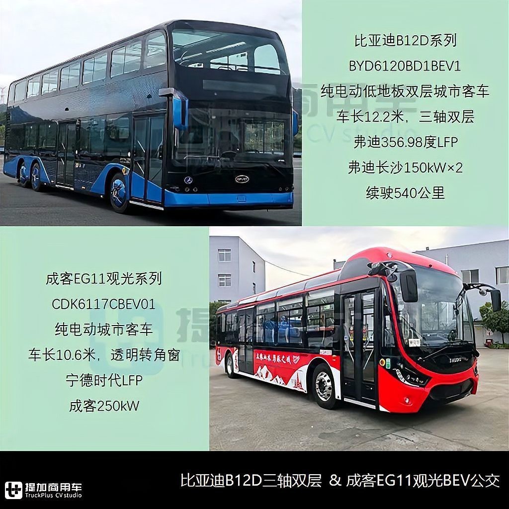 立達金龍的中低端產(chǎn)品線有哪些 立達金龍的中低端產(chǎn)品線有哪些 龍魚論壇 第1張