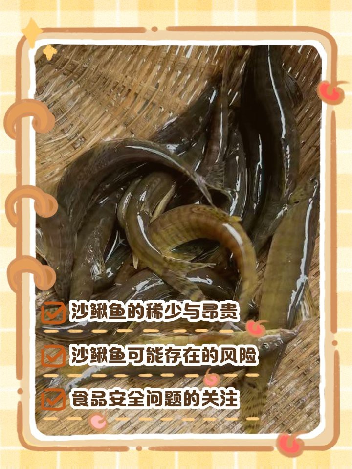 沙鰍魚(yú)為何要盡量少吃