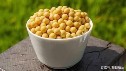 睢縣鴻運水族館（睢縣鴻運水族館電話） 睢縣鴻運水族館（睢縣鴻運水族館電話） 全國水族館企業名錄