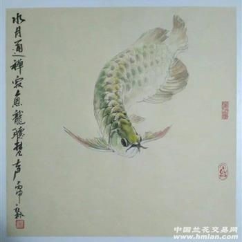 榆林魚(yú)缸女尸案件最新進(jìn)展圖片高清(榆林拋尸案)