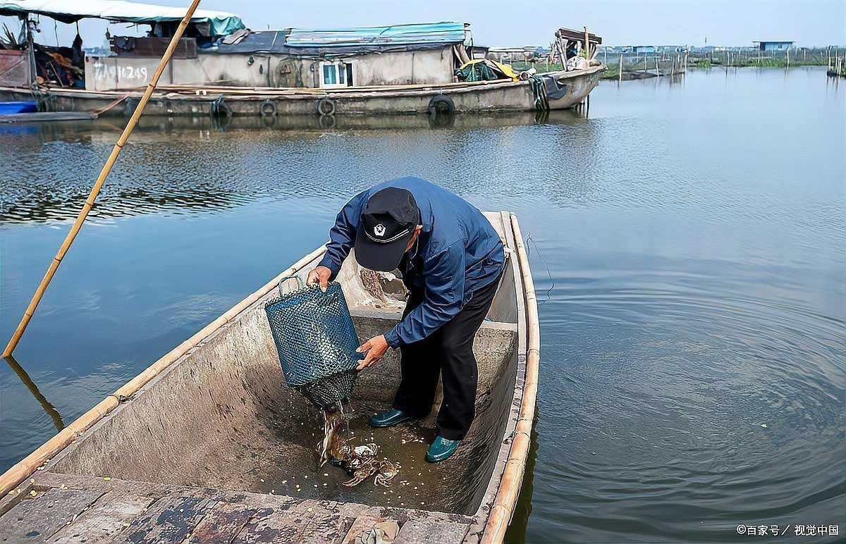 水深2米一畝可養(yǎng)多少魚 水深2米一畝可養(yǎng)多少魚 龍魚論壇 第1張