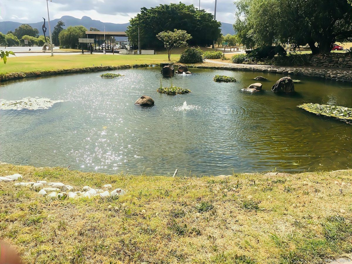 水深2米一畝可養(yǎng)多少魚 水深2米一畝可養(yǎng)多少魚 龍魚論壇 第6張