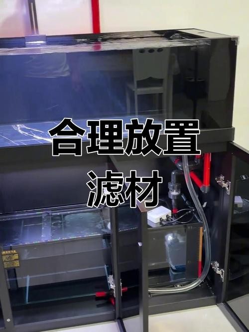 龍魚缸濾材搭配方法圖片