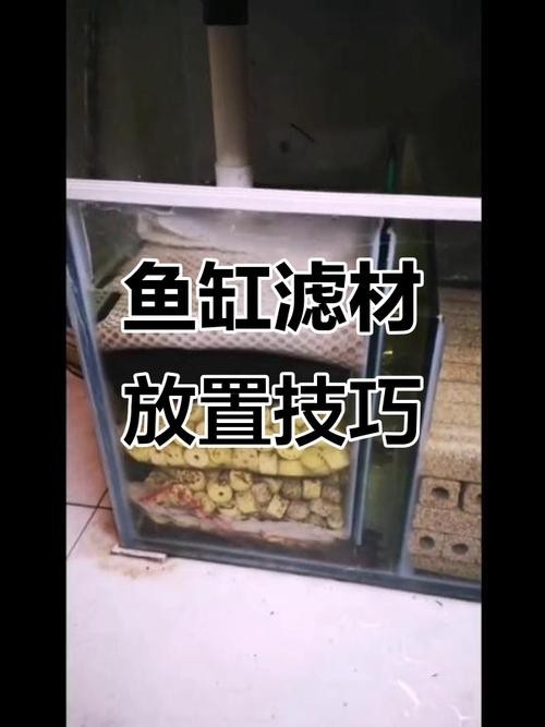 龍魚缸濾材搭配方法圖片