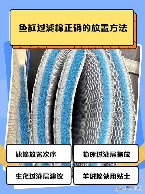 龍魚缸濾材搭配方法圖片