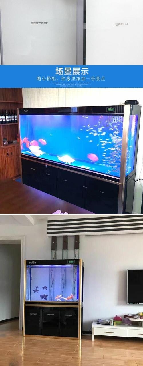 龍魚缸濾材搭配方法圖片