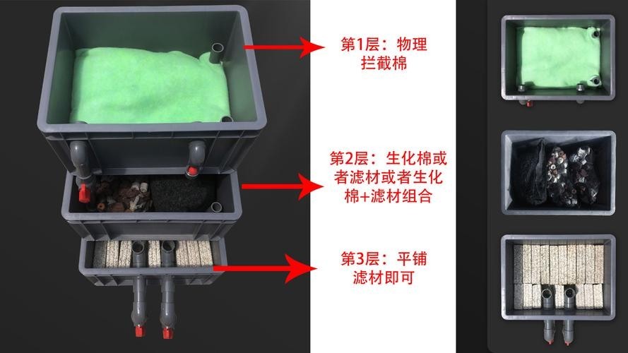 龍魚缸濾材搭配方法圖片