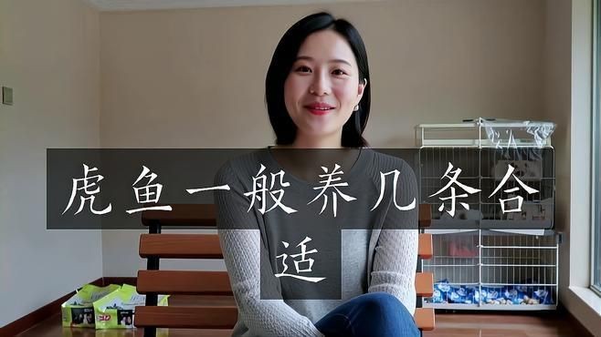 虎魚一般混養幾條
