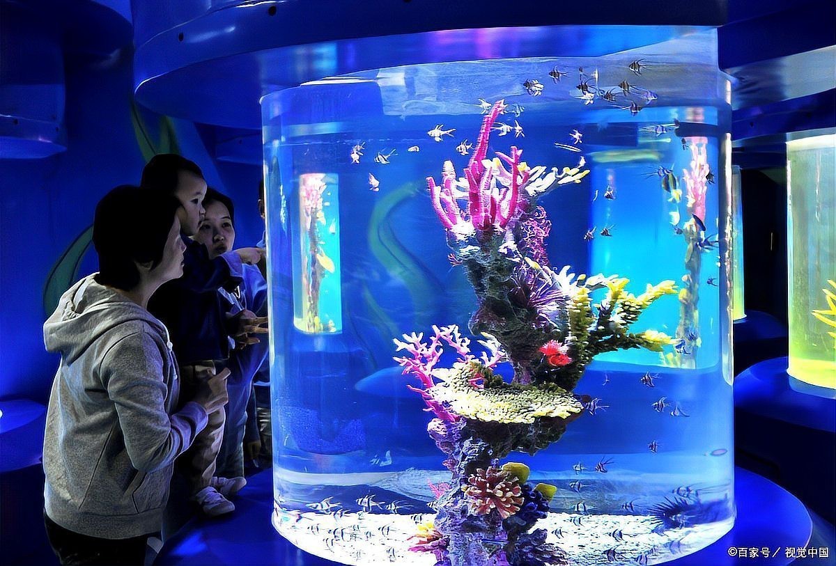 德國水族箱十大名牌