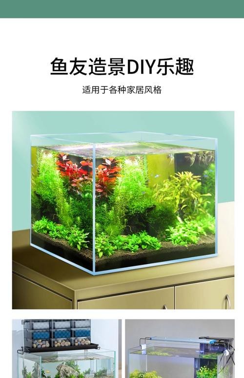 觀賞魚缸圖片大全 觀賞魚缸圖片大全 龍魚論壇 第4張