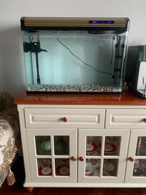 觀賞魚缸圖片大全 觀賞魚缸圖片大全 龍魚論壇 第8張