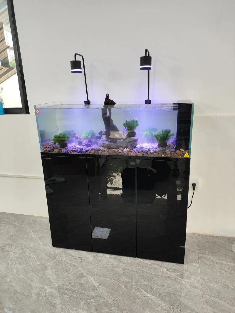 觀賞魚缸圖片大全 觀賞魚缸圖片大全 龍魚論壇 第12張
