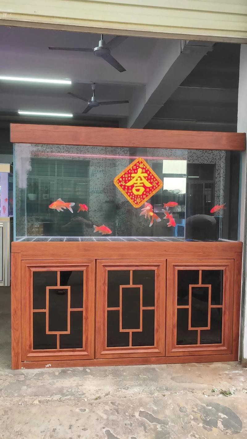 觀賞魚缸圖片大全 觀賞魚缸圖片大全 龍魚論壇 第13張