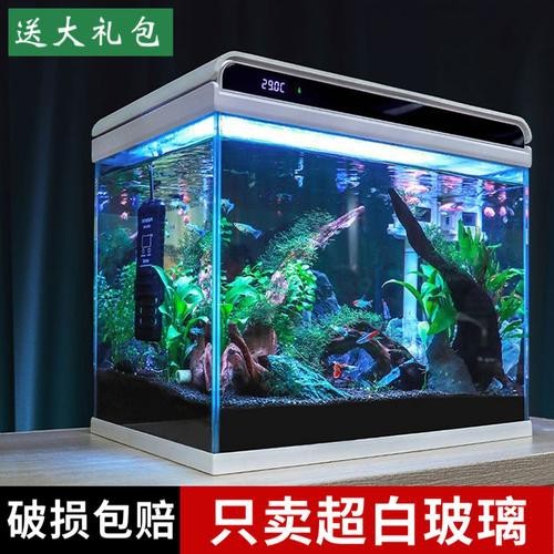 觀賞魚缸圖片大全 觀賞魚缸圖片大全 龍魚論壇 第22張