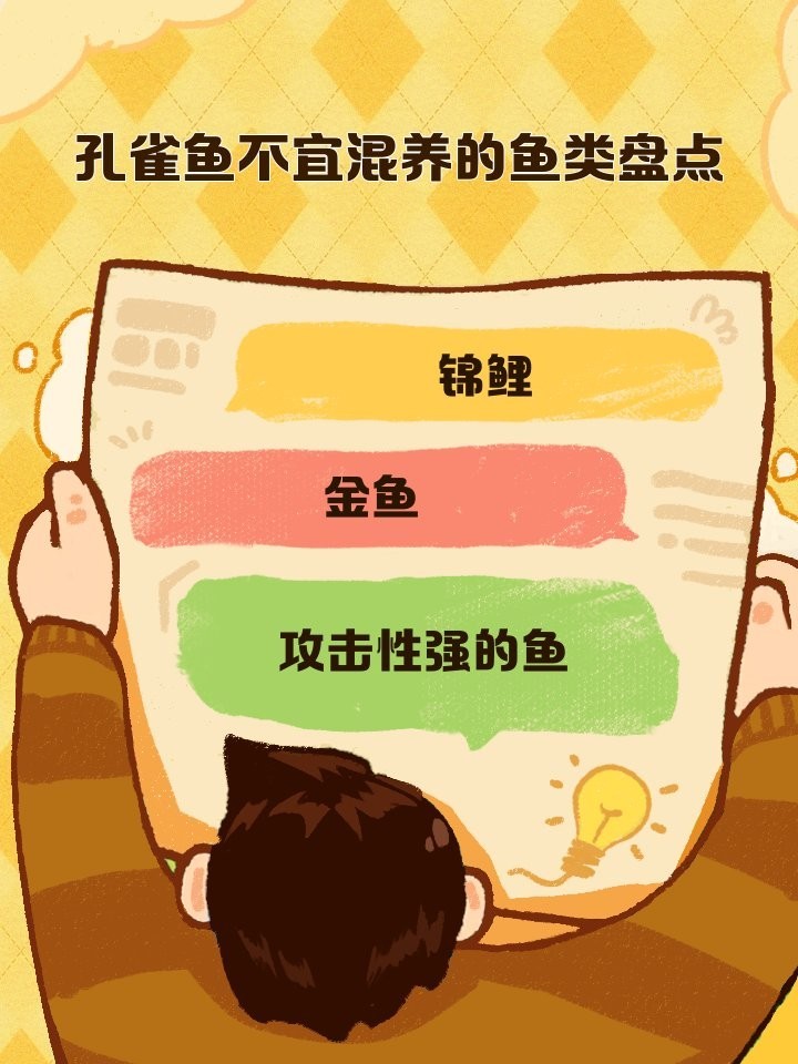 龍魚可以和孔雀魚養嗎