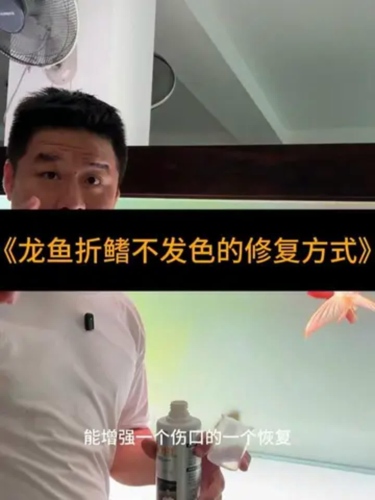 龍魚第六排發(fā)色失敗怎么辦？