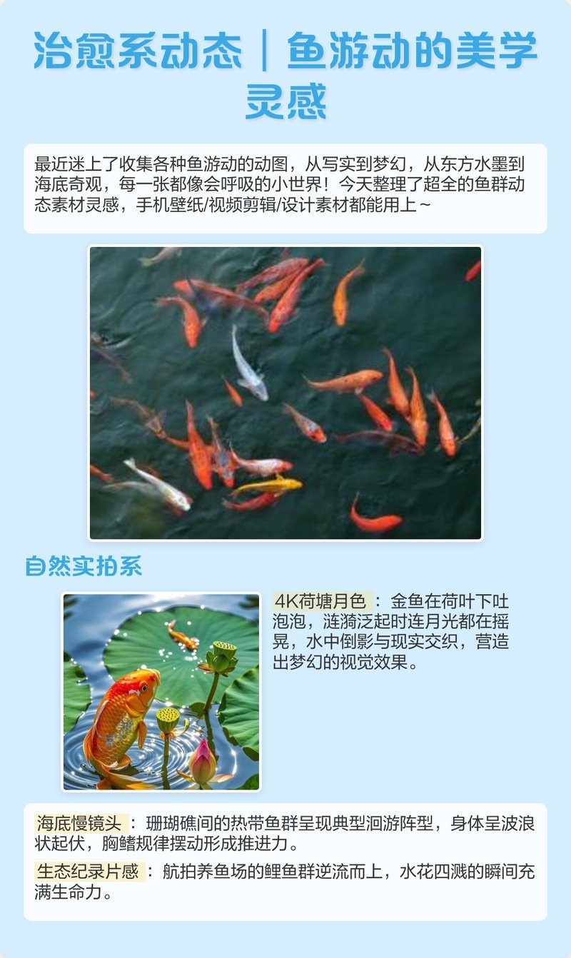 壁紙高清全屏魚動態