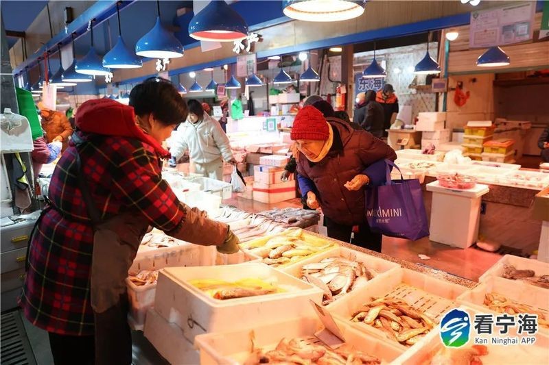 寧海龍海市場海鮮價格表今日最新價 寧海龍海市場海鮮價格表今日最新價 龍魚論壇 第3張