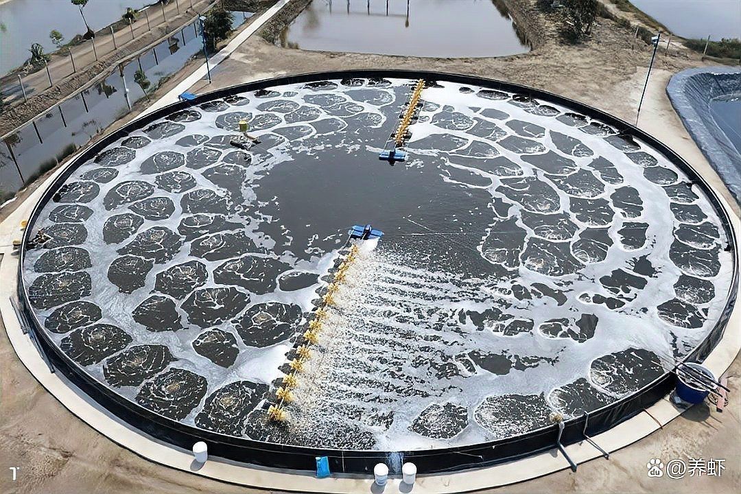 寧海龍海市場海鮮價格表今日最新價 寧海龍海市場海鮮價格表今日最新價 龍魚論壇 第6張