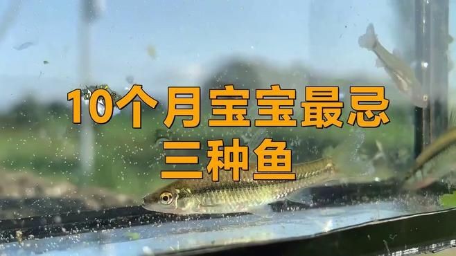 給孩子燉湯最忌三種魚