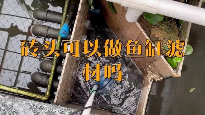 紅磚能當魚缸濾材嗎