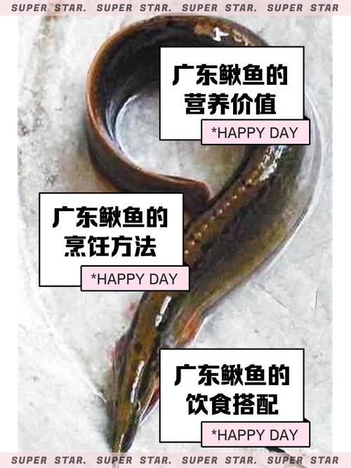能提供更多龍鰍魚圖片嗎？