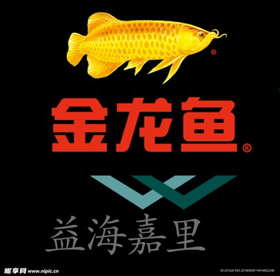 武漢市江岸區寶波水族館（武漢市江岸區寶波水族館地址）