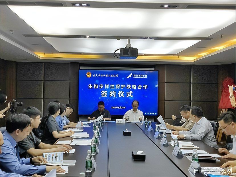 虎頭骨多少錢一克
