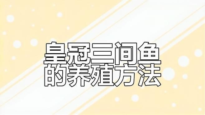 皇冠三間魚好養嗎 皇冠三間魚好養嗎 龍魚論壇 第6張