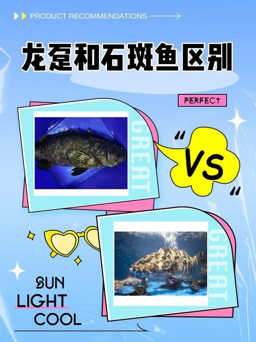 斑馬鴨嘴魚和龍魚混養嗎圖片對比