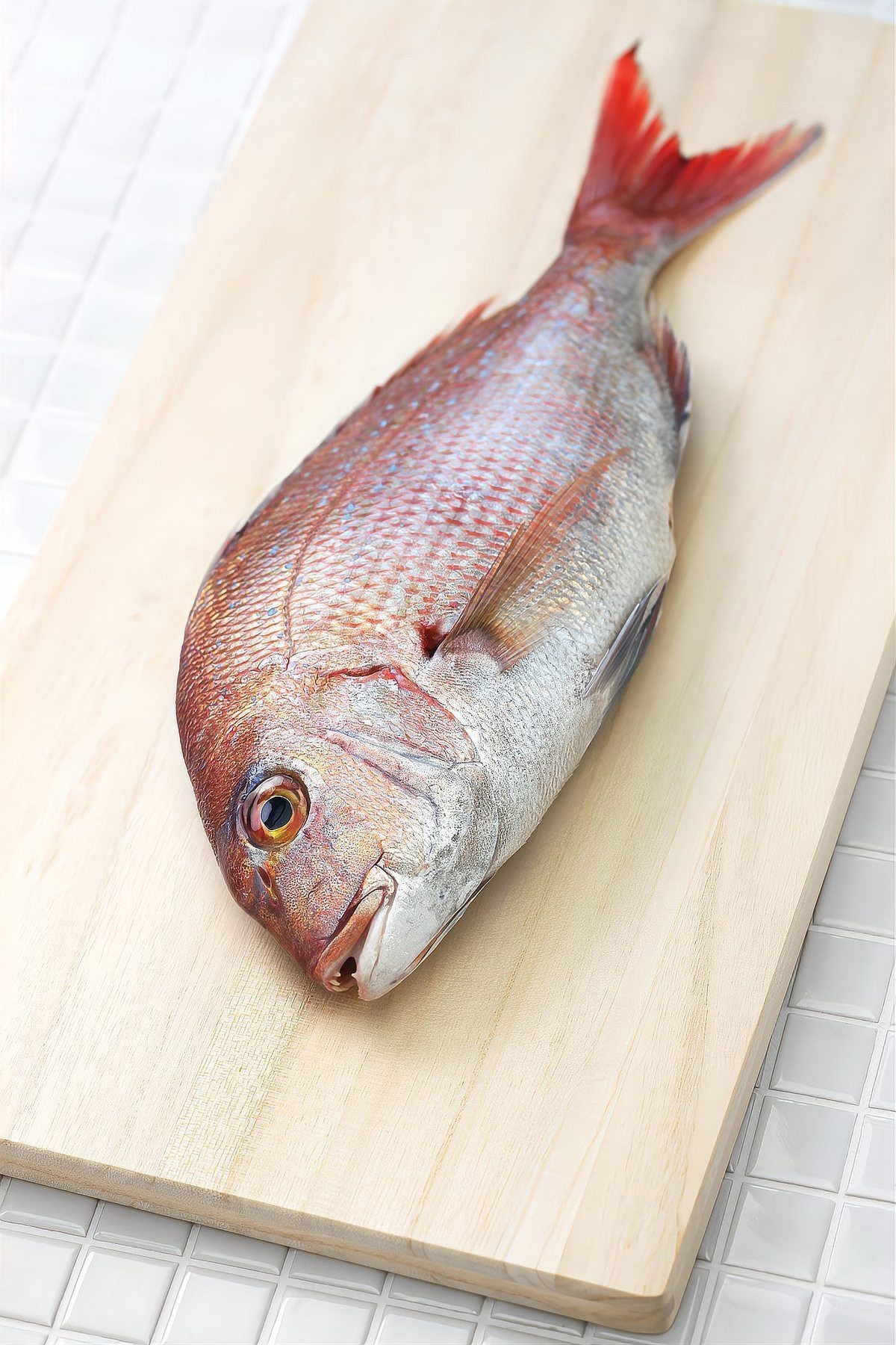 鯛魚(yú)為何盡量少吃
