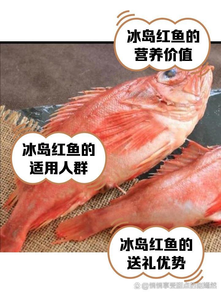 紅魚適合哪些人吃