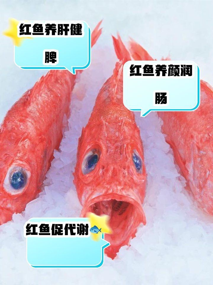紅魚適合哪些人吃