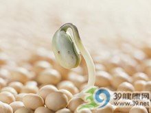福壽魚營養價值高嗎 福壽魚營養價值高嗎 龍魚論壇 第5張