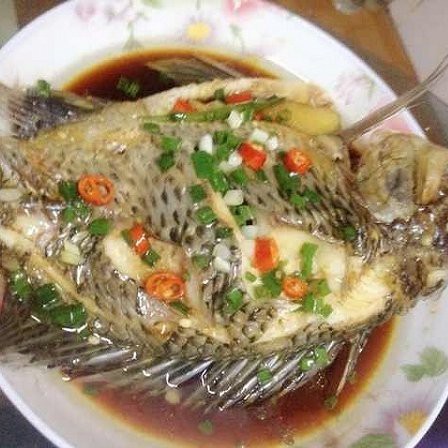 福壽魚營養價值高嗎 福壽魚營養價值高嗎 龍魚論壇 第7張