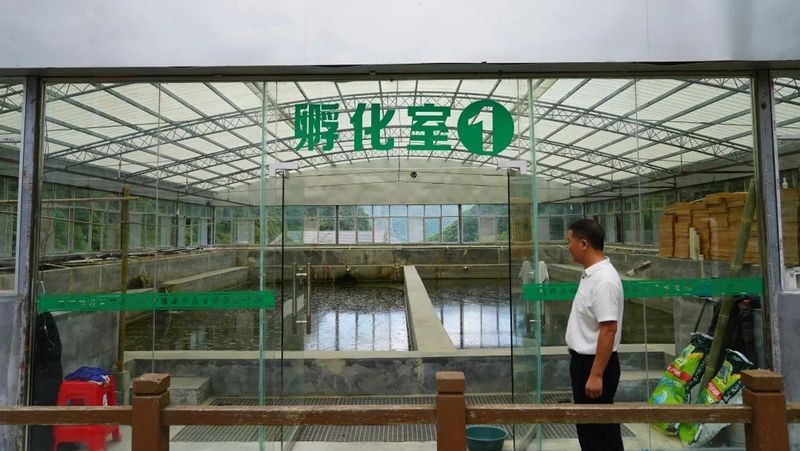 錢魚的圖片大全大圖 錢魚的圖片大全大圖 龍魚論壇 第4張