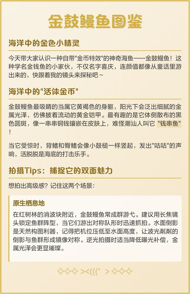 錢魚的圖片大全大圖 錢魚的圖片大全大圖 龍魚論壇 第5張