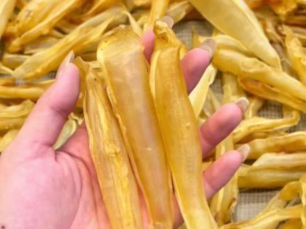 金龍魚膠怎么泡
