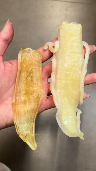 金龍魚膠怎么泡