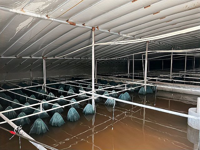 附近甲魚養(yǎng)殖基地