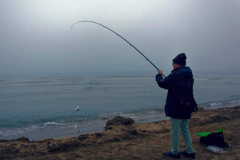 豆粕直接喂魚長得快嗎 豆粕直接喂魚長得快嗎 龍魚論壇 第10張