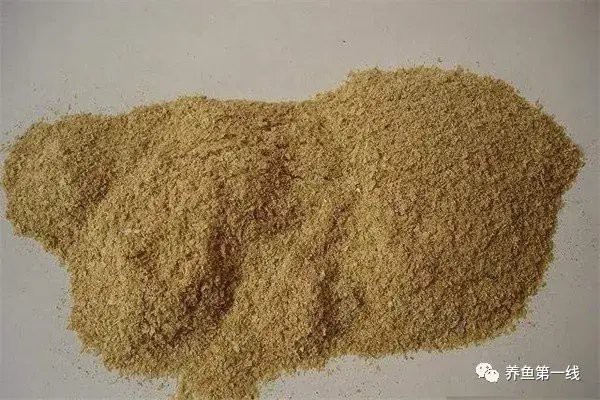 豆粕直接喂魚長得快嗎 豆粕直接喂魚長得快嗎 龍魚論壇 第8張