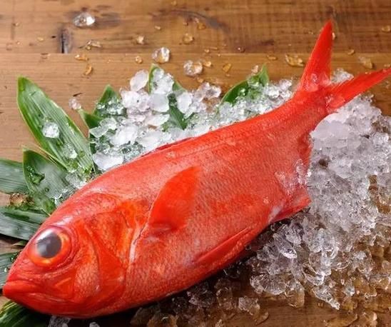 紅色魚圖片大全 紅色魚圖片大全 龍魚論壇 第20張